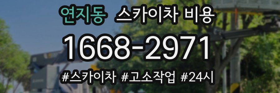 연지동 스카이차 비용