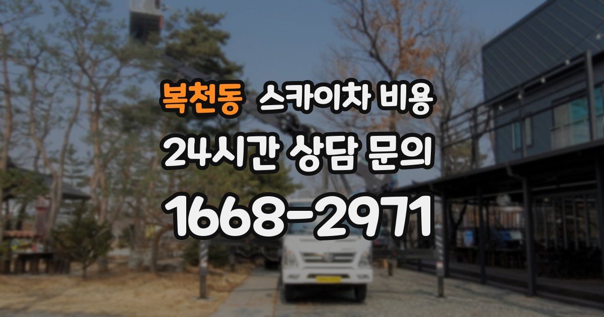 복천동 스카이차 비용