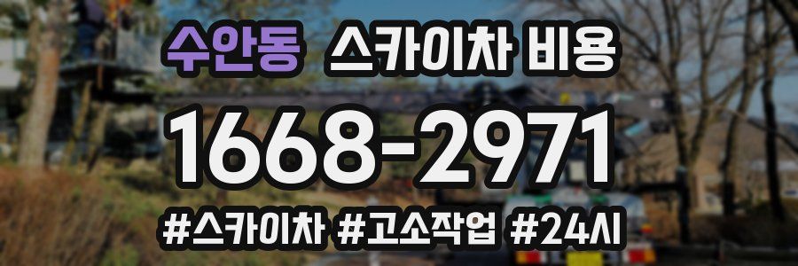 수안동 스카이차 비용