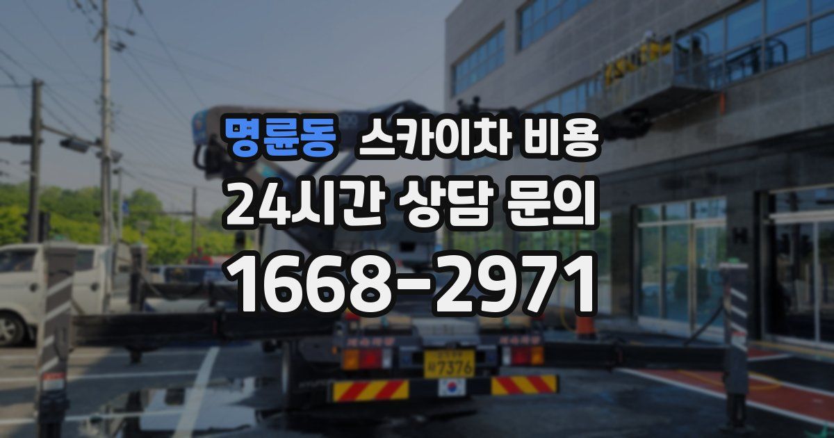 명륜동 스카이차 비용