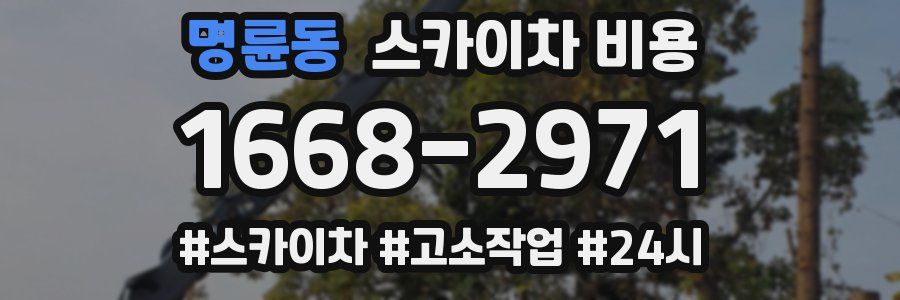 명륜동 스카이차 비용