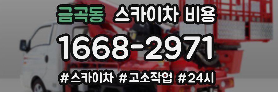 금곡동 스카이차 비용