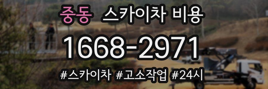 중동 스카이차 비용