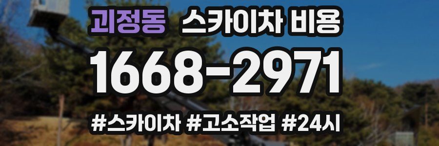 괴정동 스카이차 비용