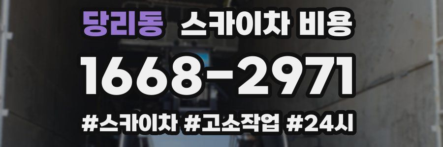 당리동 스카이차 비용