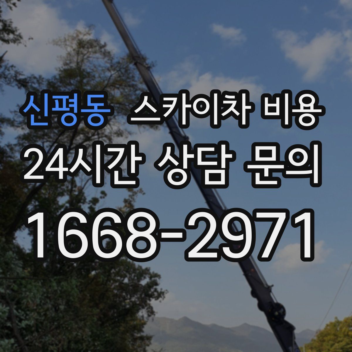 신평동 스카이차 비용