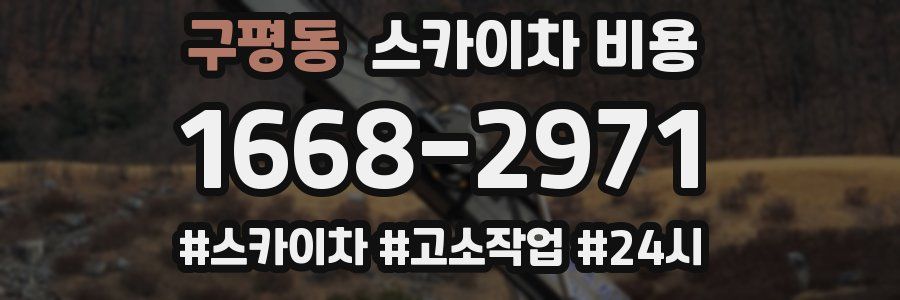 구평동 스카이차 비용