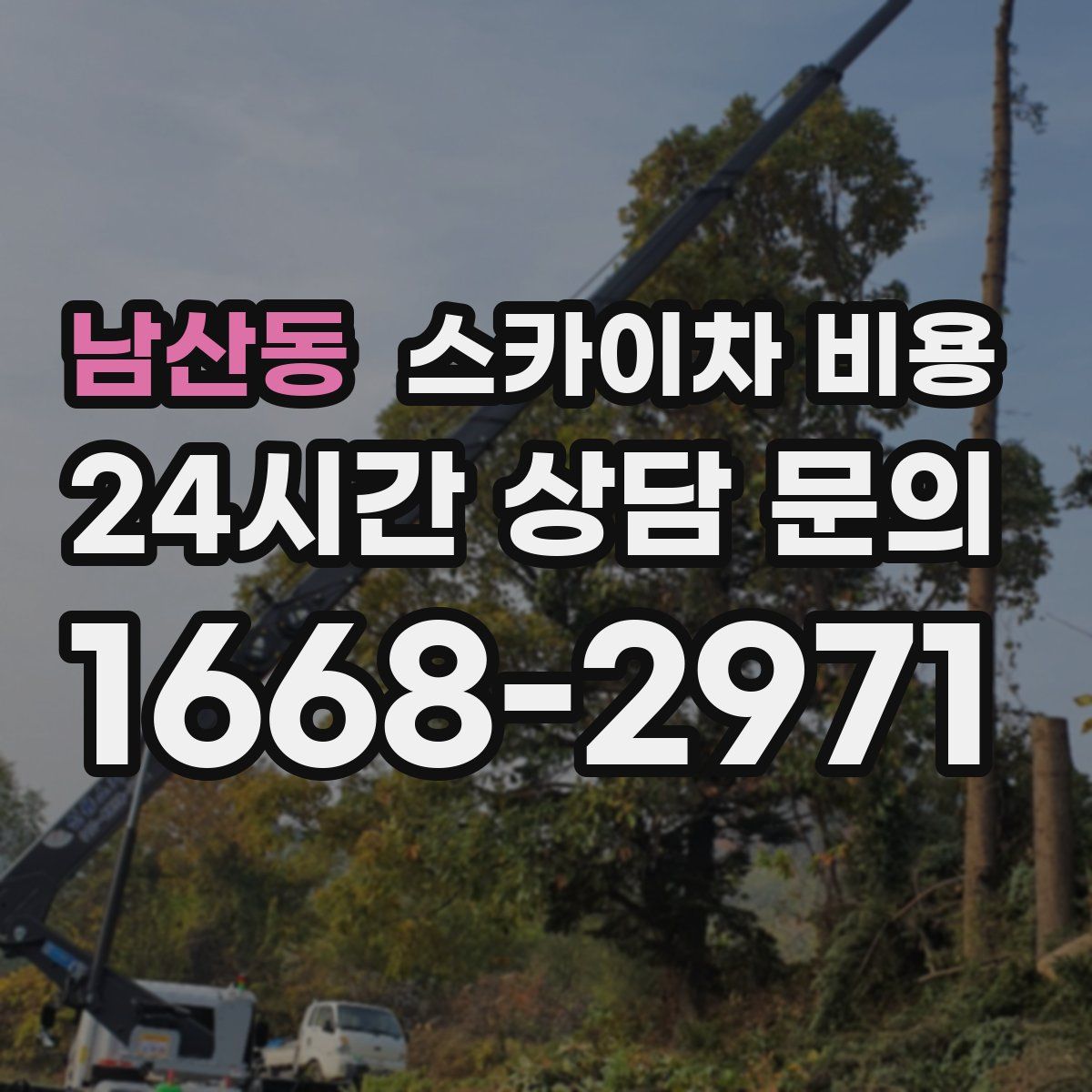 남산동 스카이차 비용