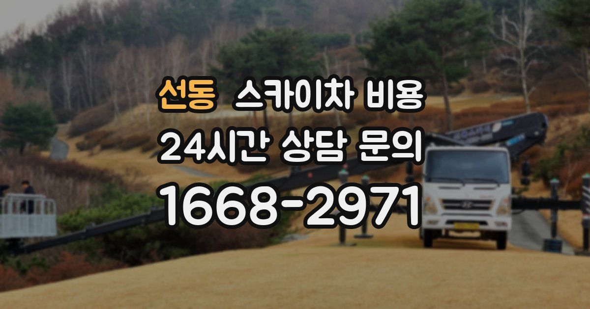 선동 스카이차 비용