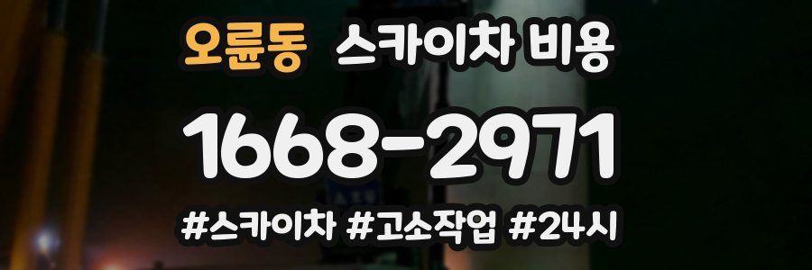 오륜동 스카이차 비용