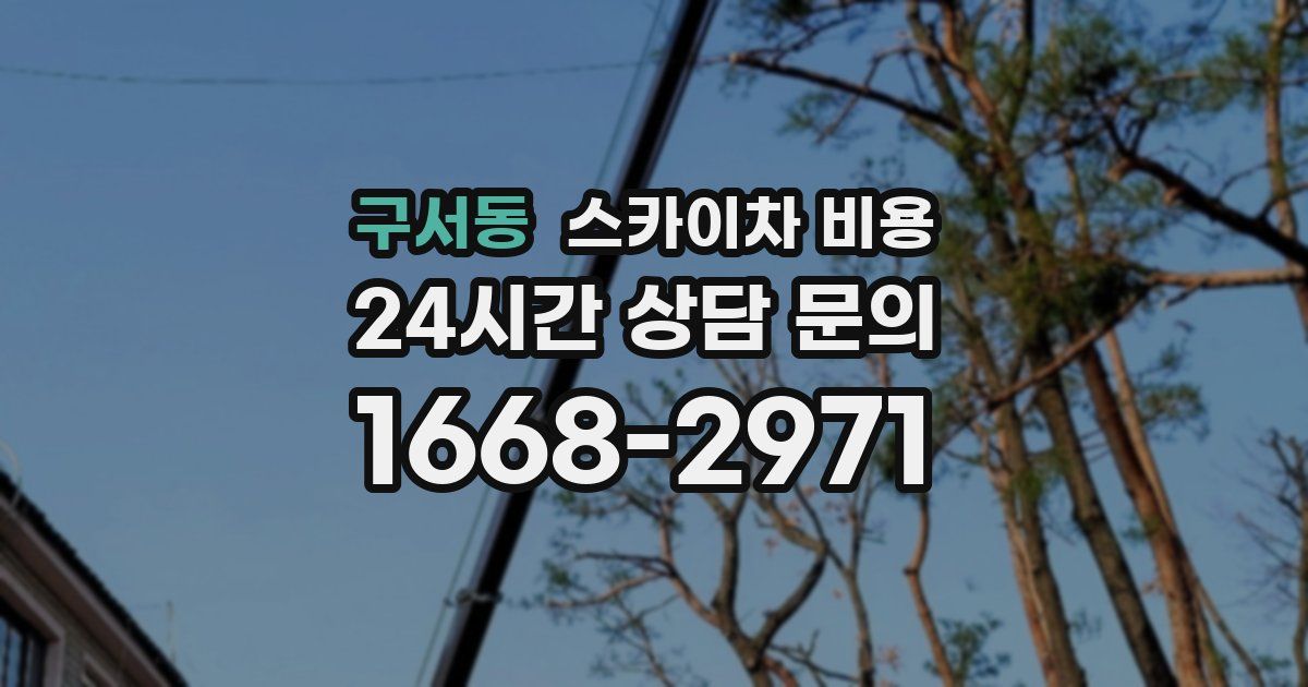 구서동 스카이차 비용