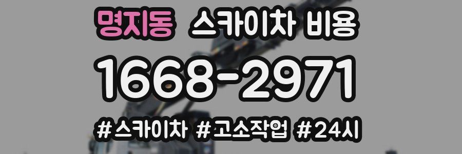 명지동 스카이차 비용