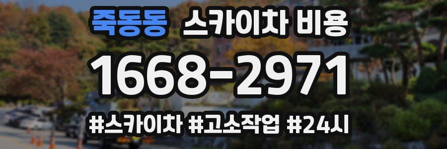 죽동동 스카이차 비용