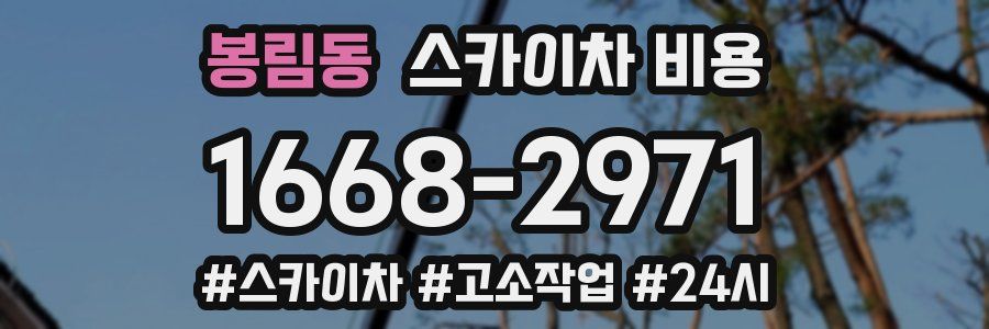 봉림동 스카이차 비용