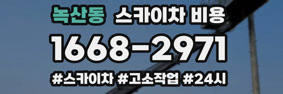 녹산동 스카이차 비용