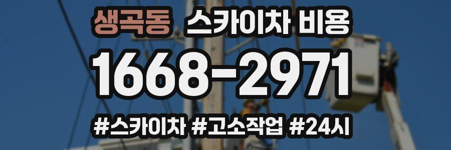 생곡동 스카이차 비용