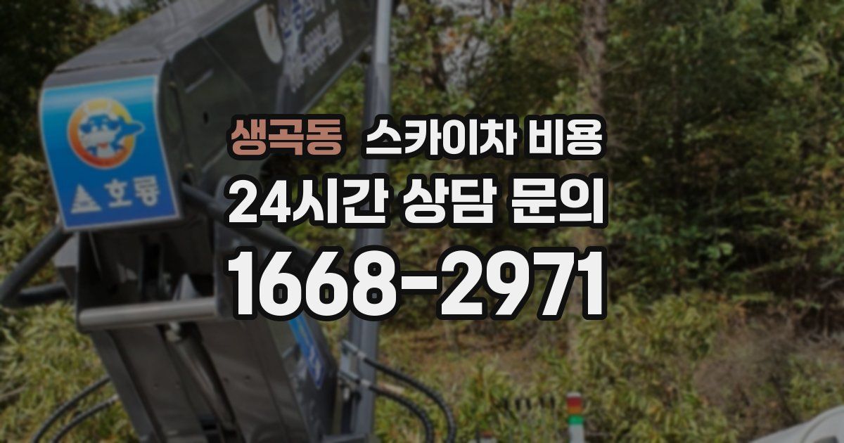 생곡동 스카이차 비용