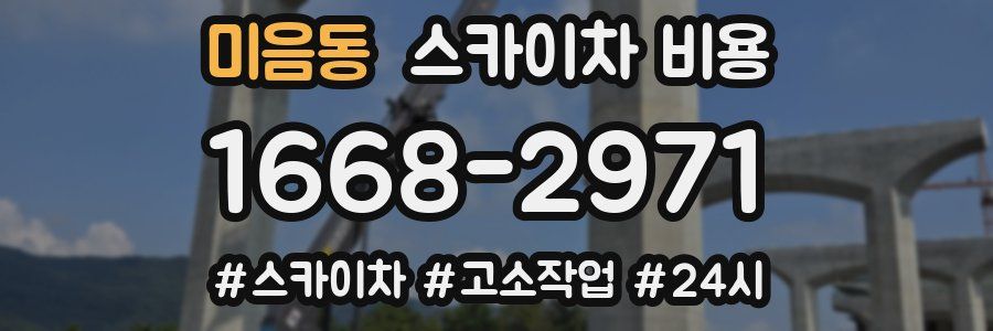 미음동 스카이차 비용