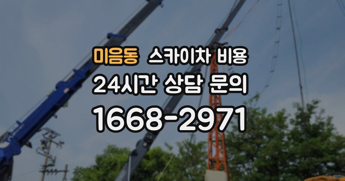 미음동 스카이차 비용