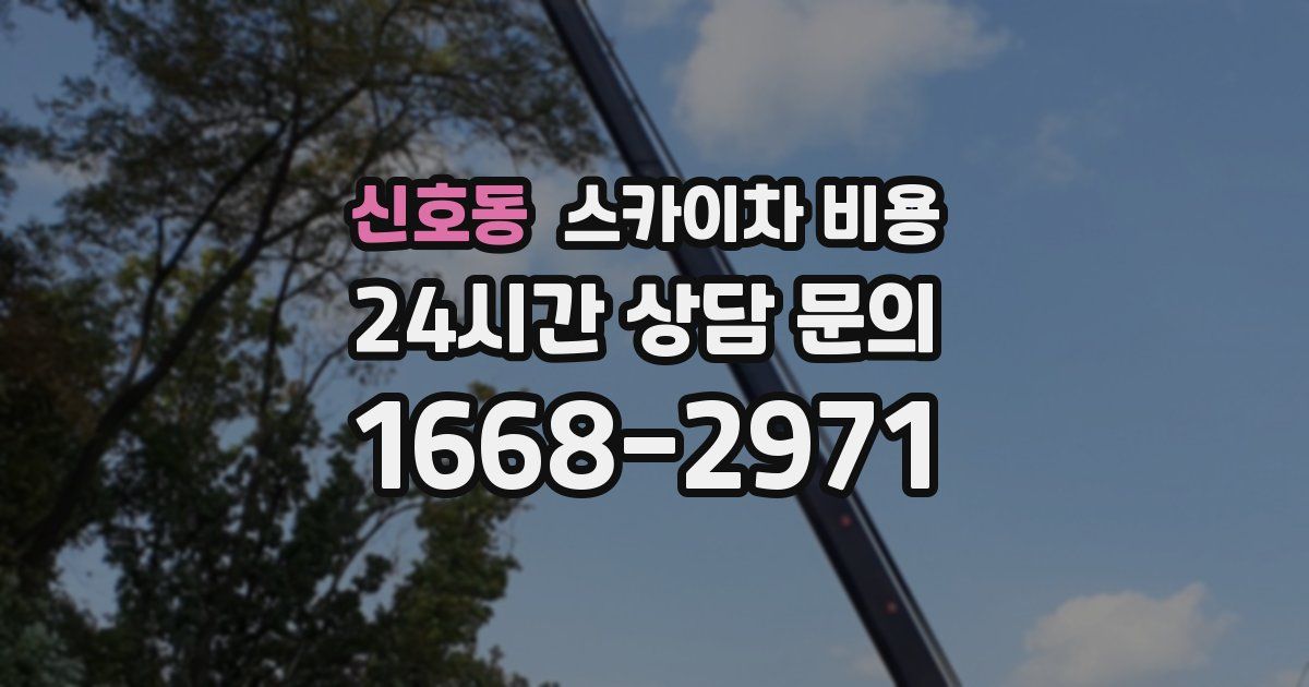 신호동 스카이차 비용