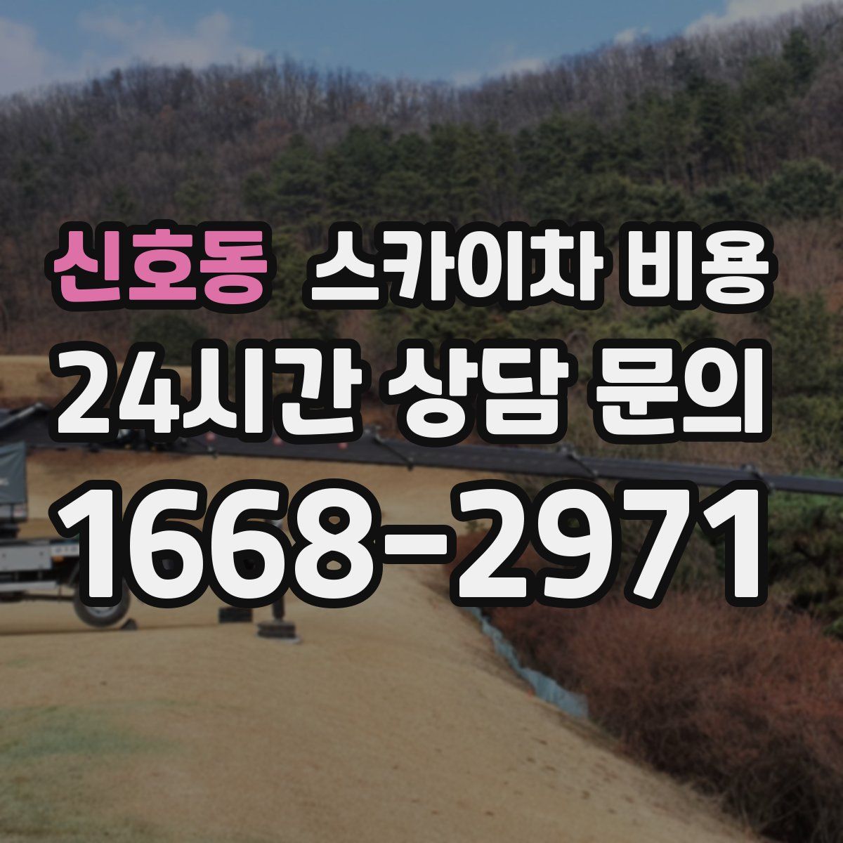 신호동 스카이차 비용