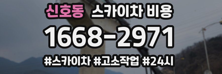 신호동 스카이차 비용