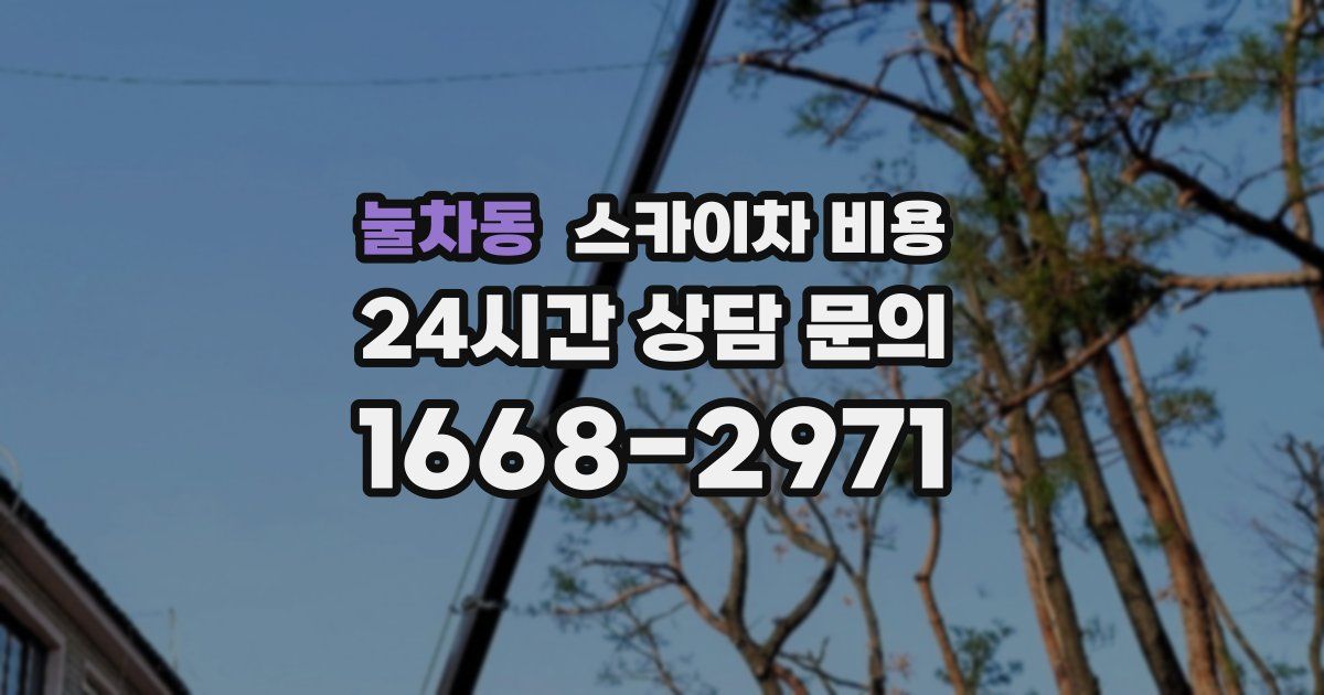 눌차동 스카이차 비용