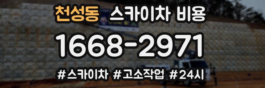 천성동 스카이차 비용