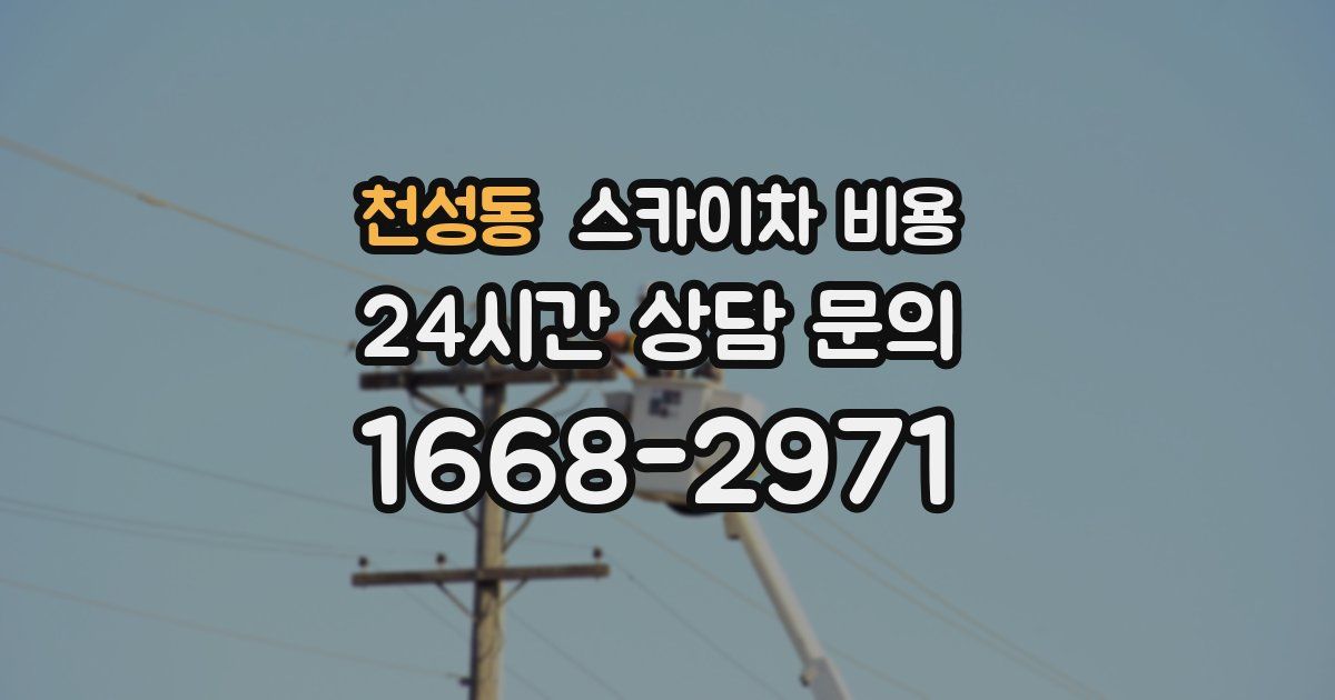 천성동 스카이차 비용