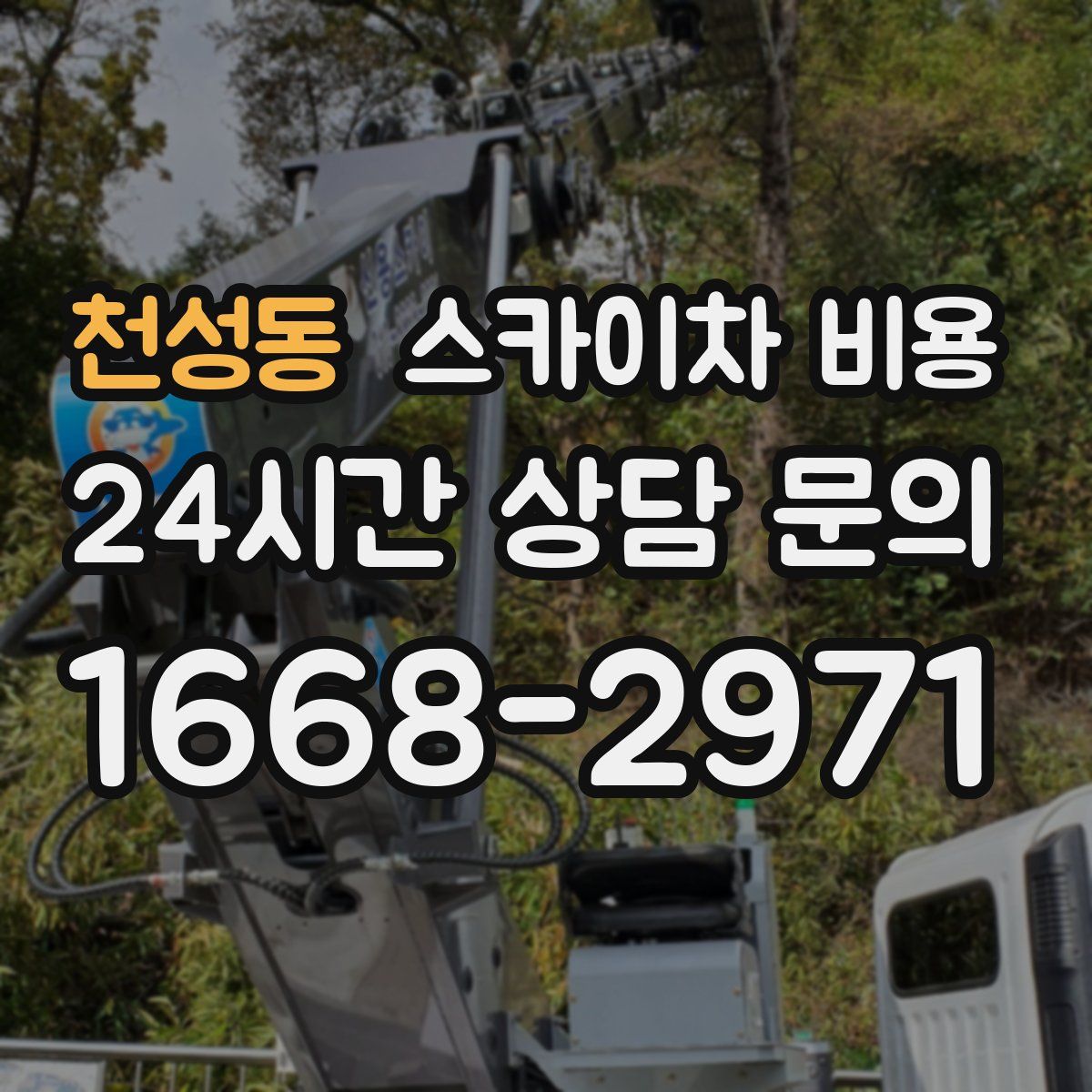 천성동 스카이차 비용