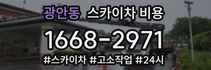 광안동 스카이차 비용