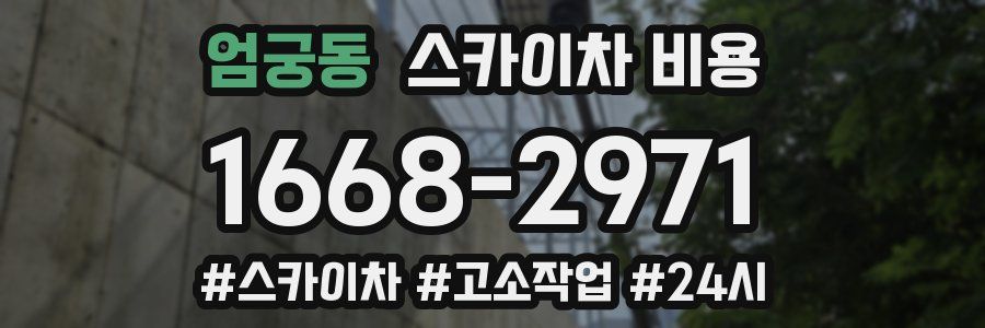 엄궁동 스카이차 비용