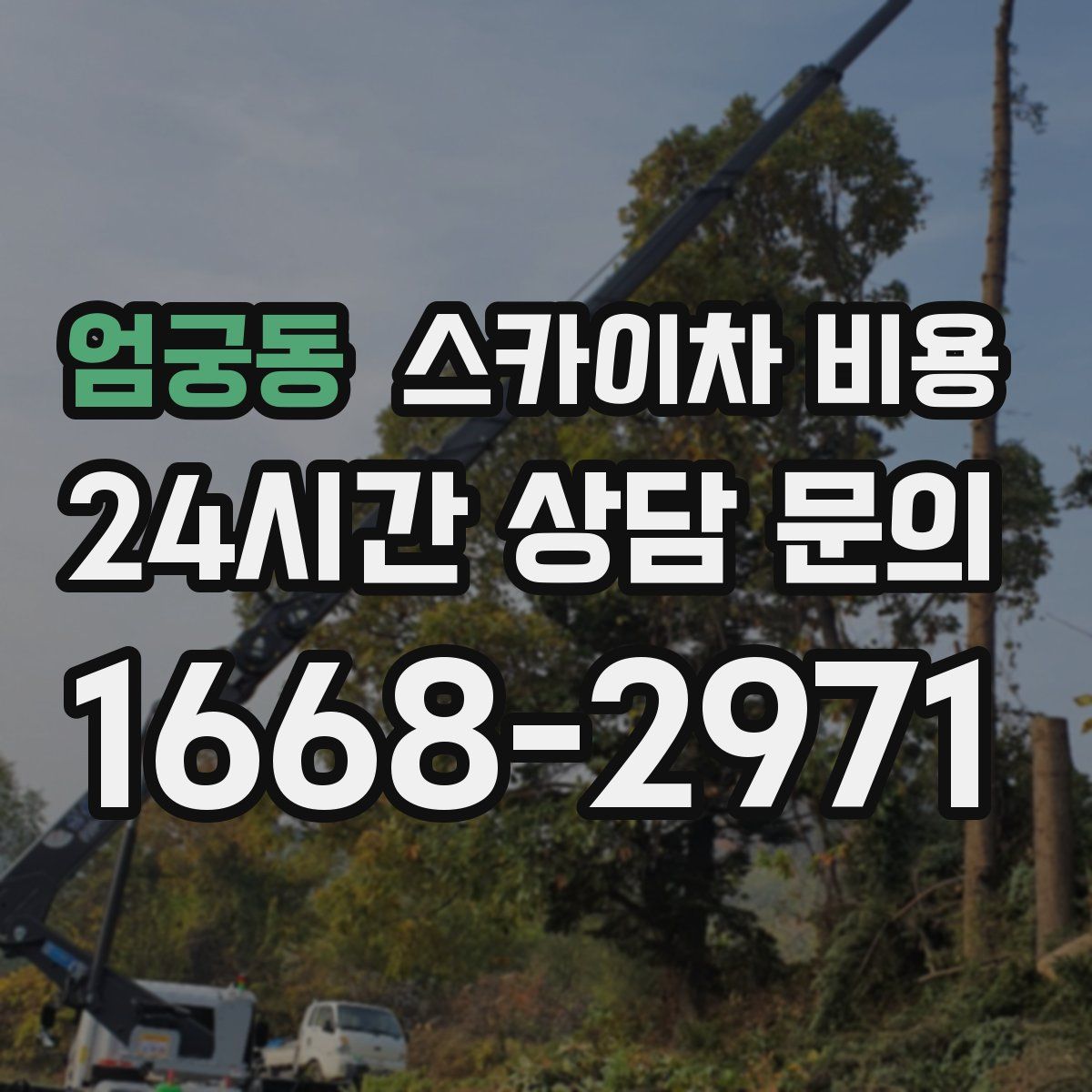 엄궁동 스카이차 비용