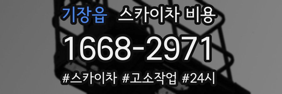 기장읍 스카이차 비용