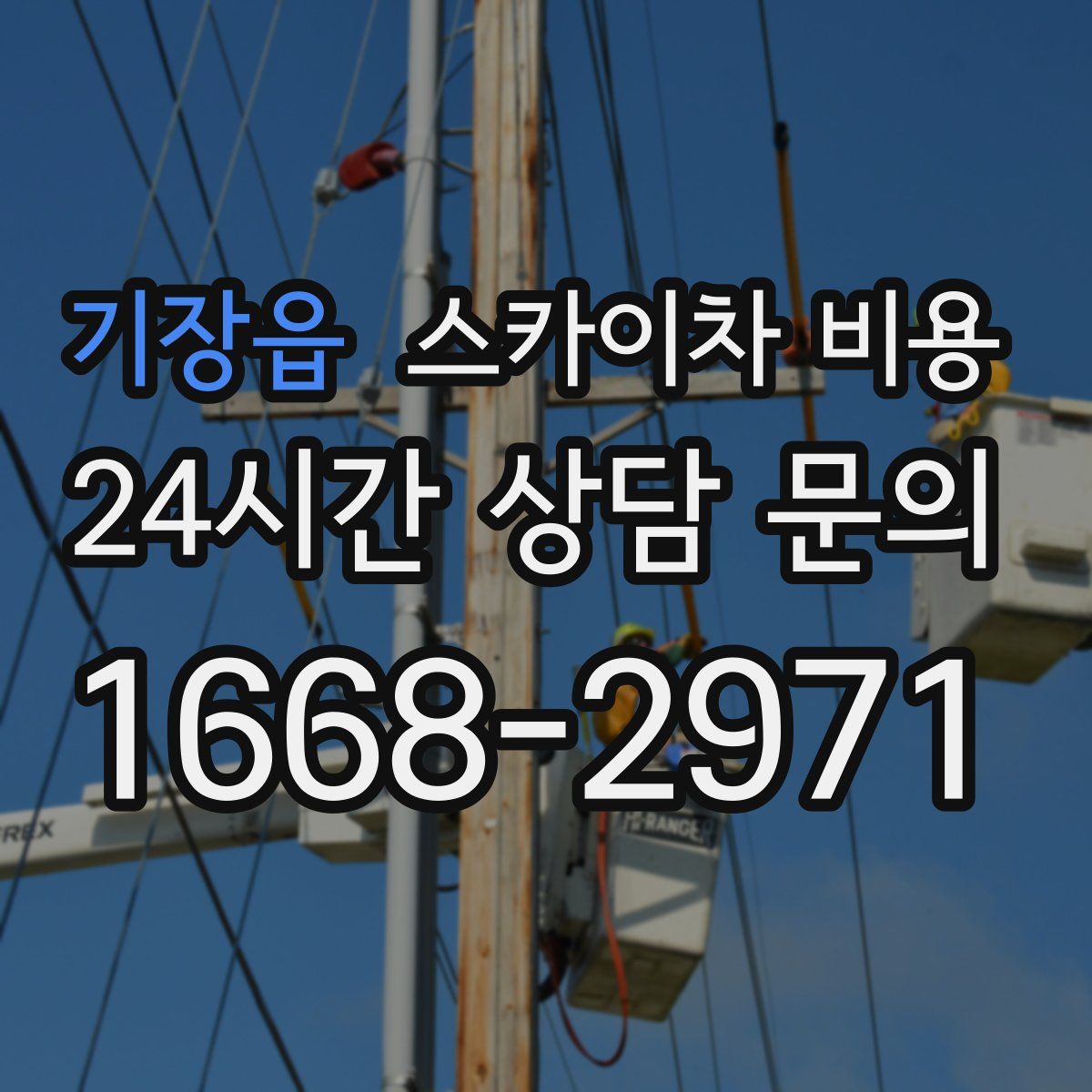 기장읍 스카이차 비용