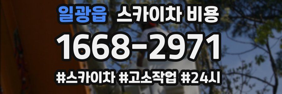 일광읍 스카이차 비용