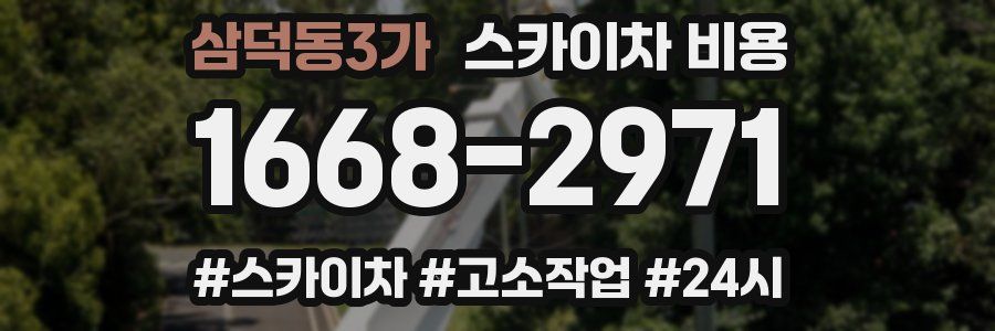 삼덕동3가 스카이차 비용