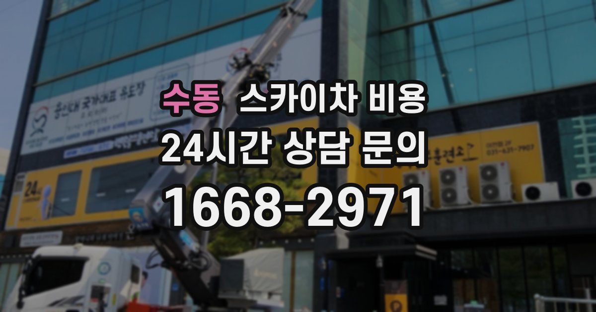 수동 스카이차 비용