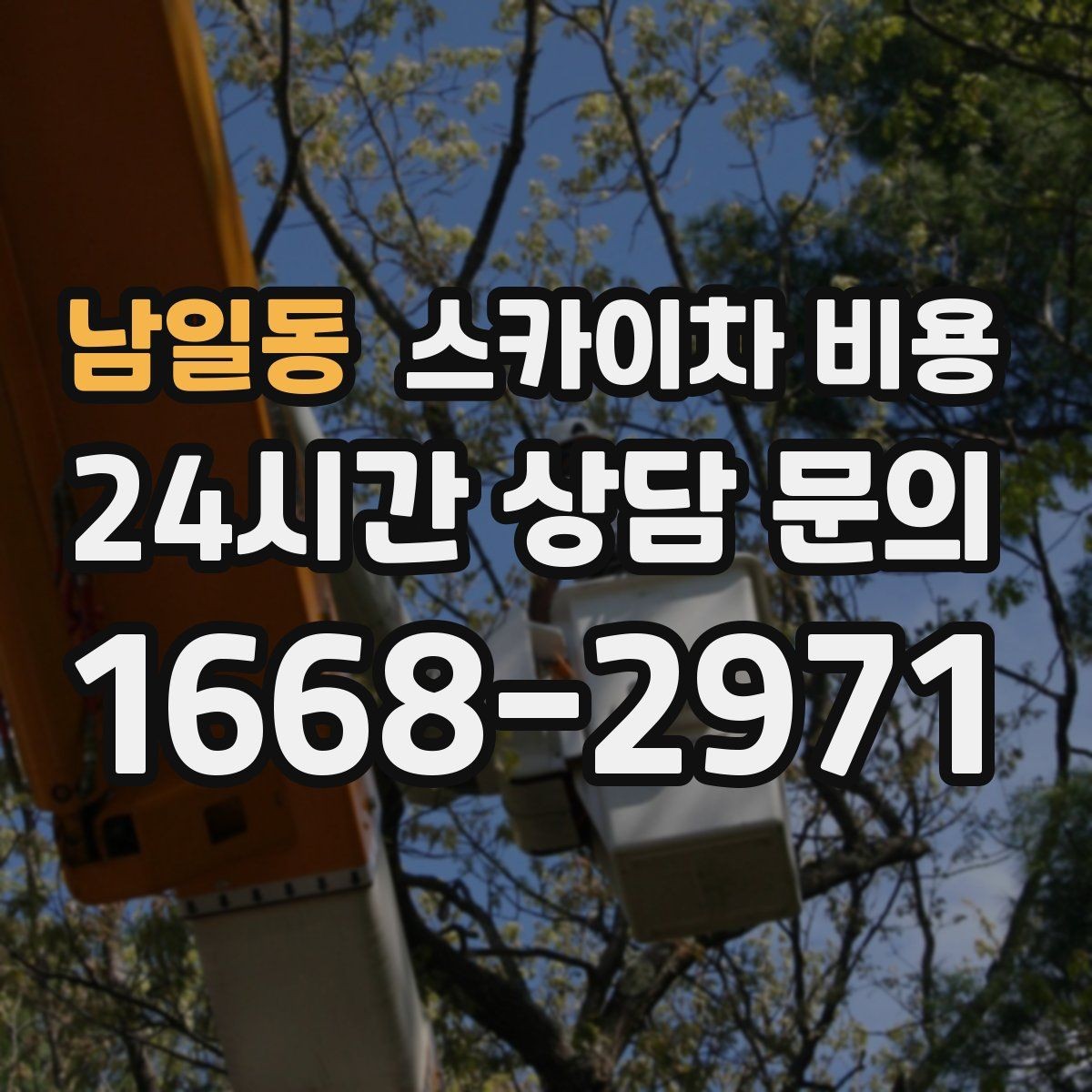 남일동 스카이차 비용 가로수·간판·전선이 동선을 막을 때