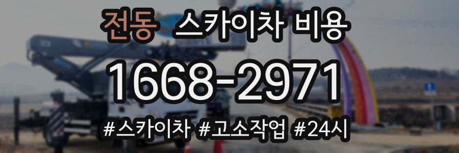 전동 스카이차 비용