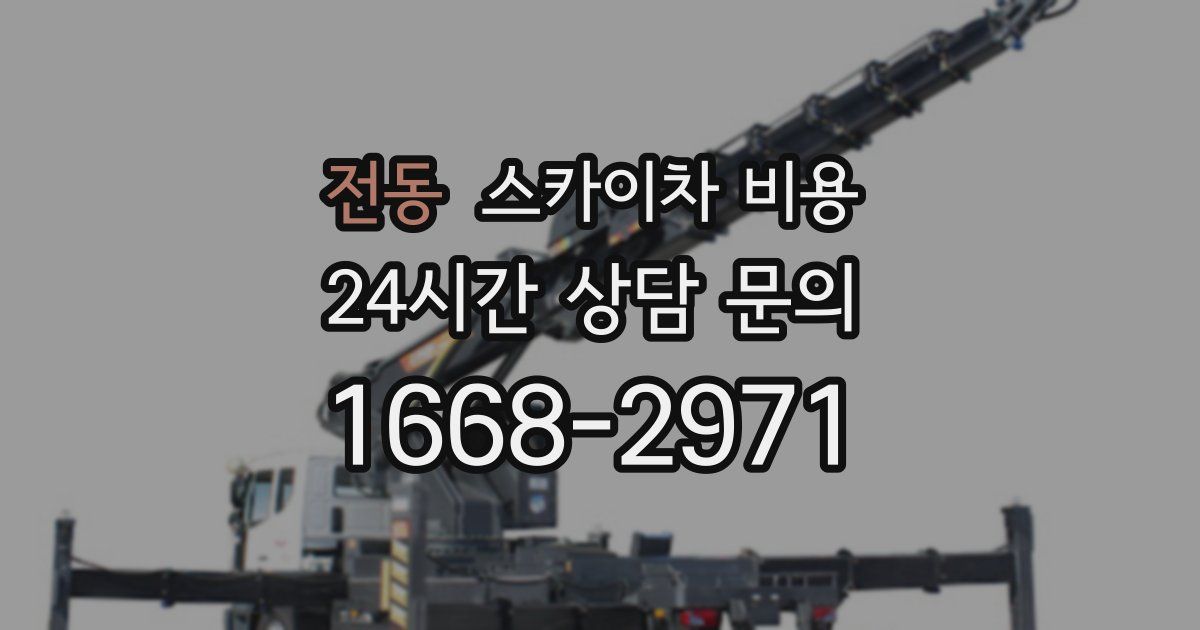 전동 스카이차 비용