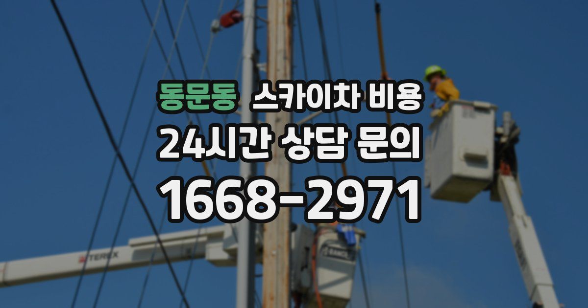 동문동 스카이차 비용