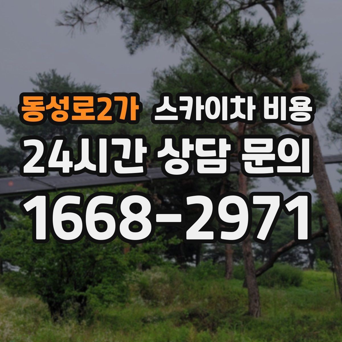 동성로2가 스카이차 비용 '싼 견적'이 항상 좋은 선택이 아닌 이유