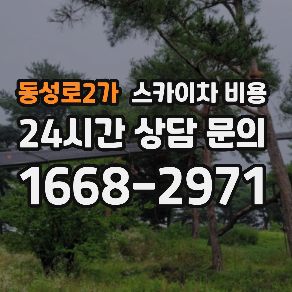 동성로2가 스카이차 비용