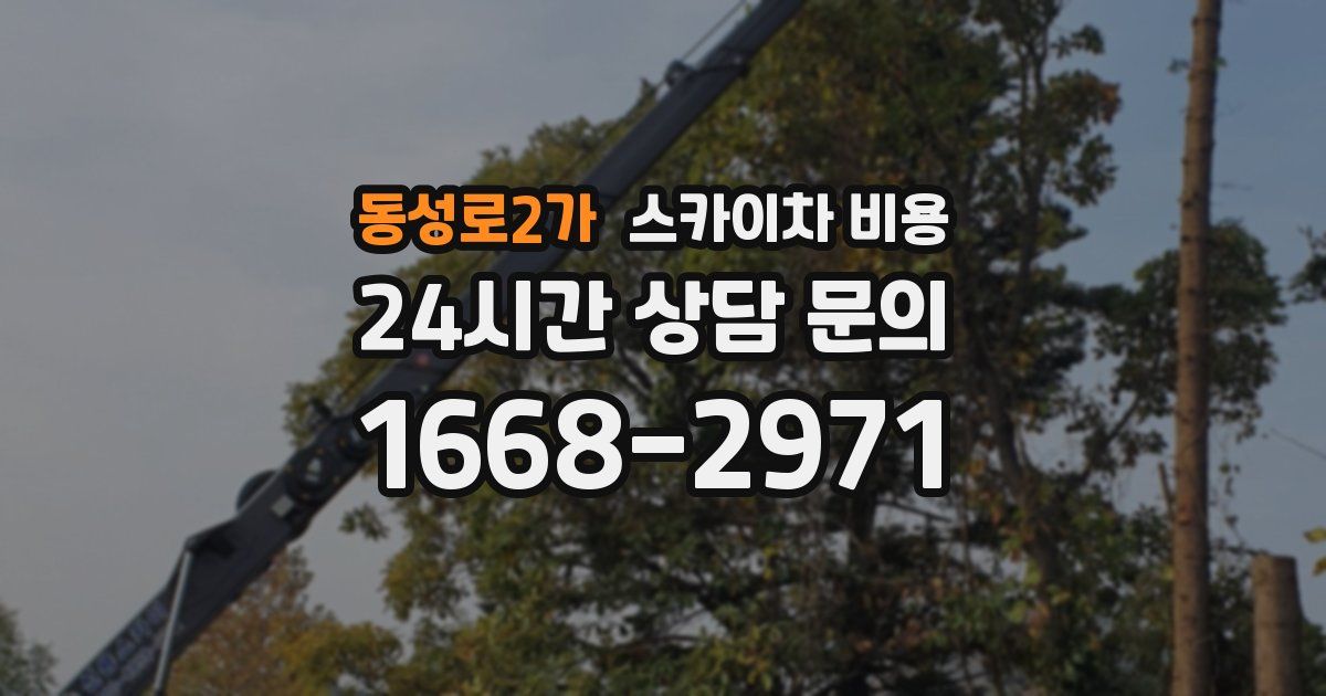 동성로2가 스카이차 비용