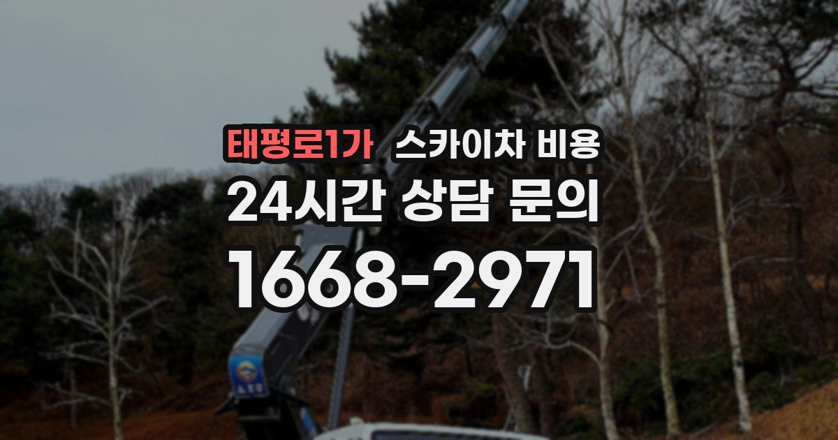 태평로1가 스카이차 비용