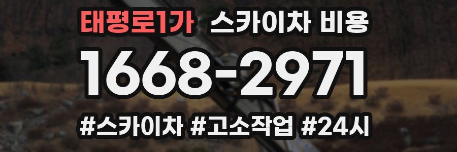 태평로1가 스카이차 비용