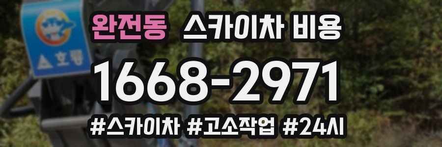 완전동 스카이차 비용