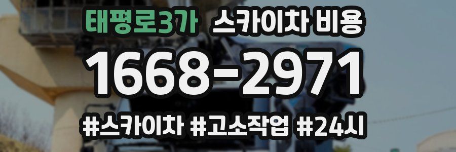 태평로3가 스카이차 비용