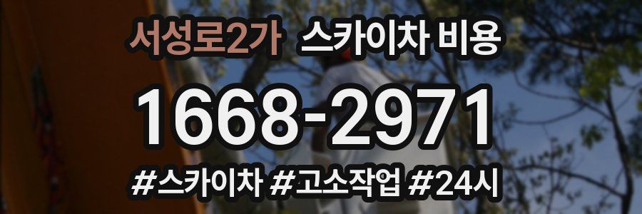 서성로2가 스카이차 비용